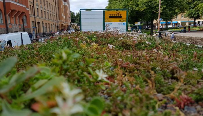 JCDecaux rakentaa kestävää kaupunkia – tätä on kadunkalusteiden ekodesign