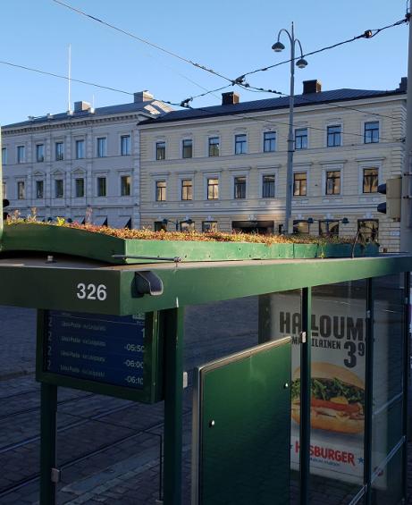 kasvustoa ratikkapysäkin katolla vihreä pysäkki